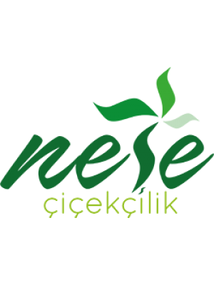 Neşe Çiçek Ankara ya çiçek göndermenin en kolay yolu